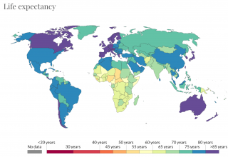 Life Expectancy Solver Analysis